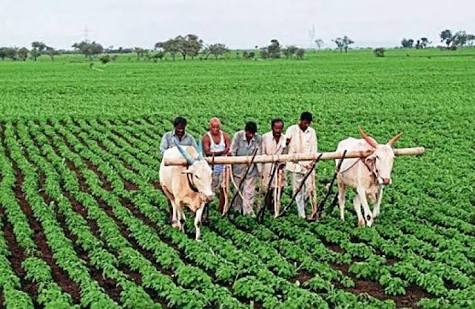 Agriculture is redefining India's economic growth ...