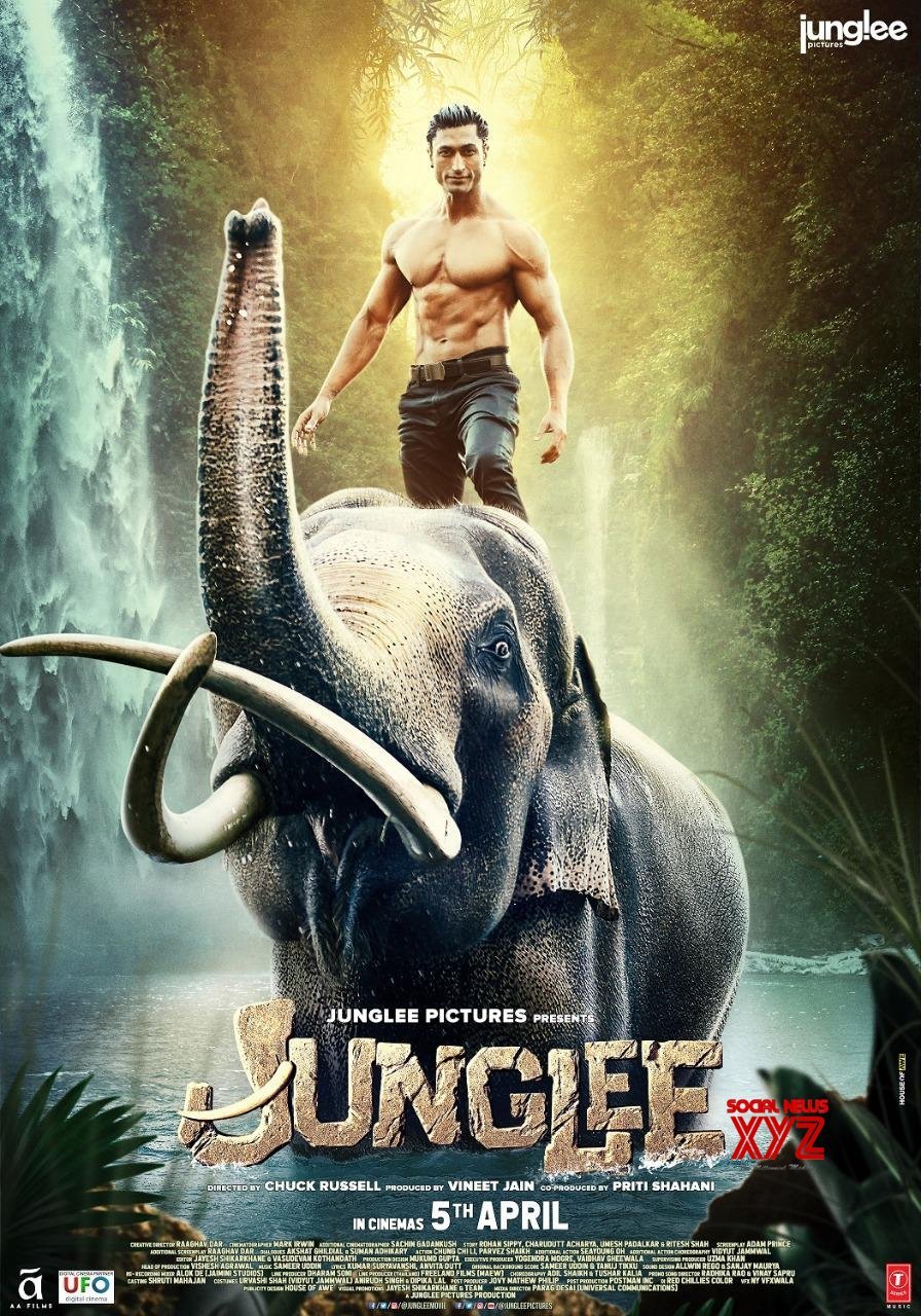 junglee movie review in hindi