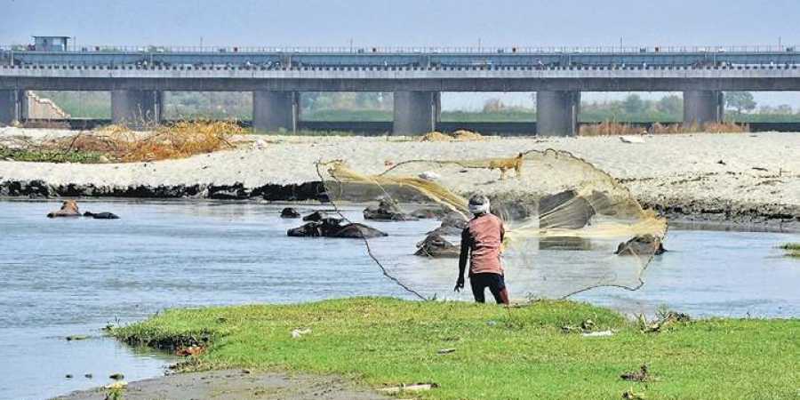 NGT to probe into alleged illegal sand mining in Yamuna River