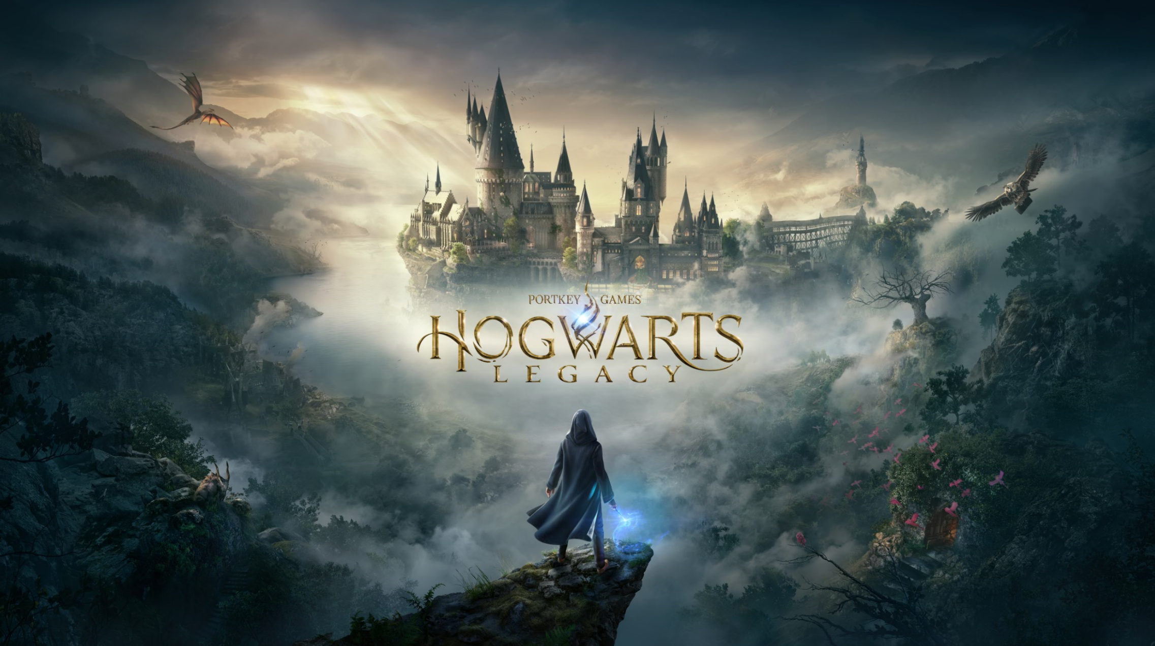 Hogwarts Legacy WB Games Harry Potter game