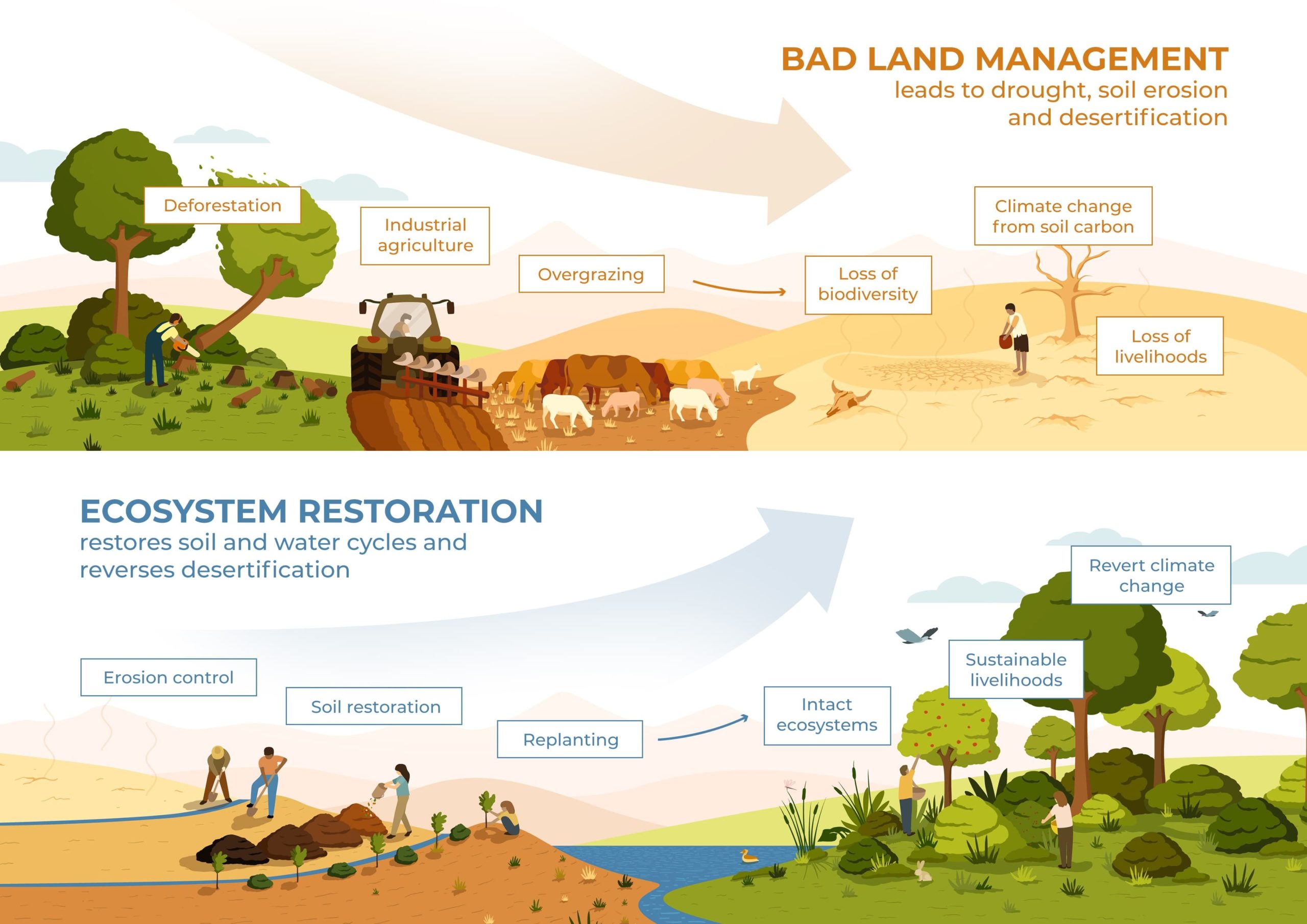 essays on ecosystem restoration