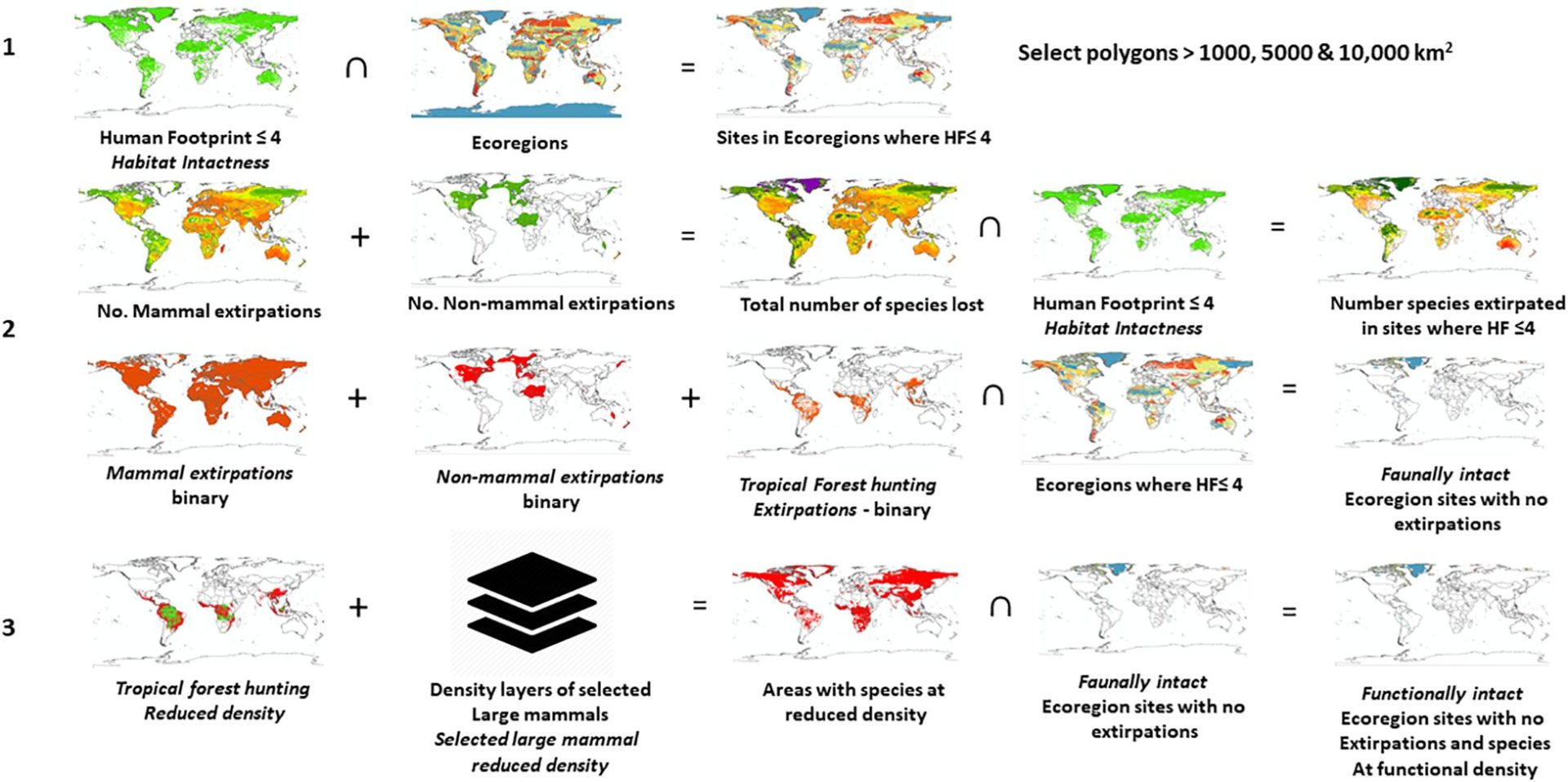 Just 3% of Earth's Ecosystems have remained Intact, rest need ...