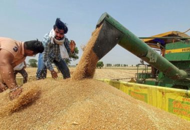 India bans Wheat exports