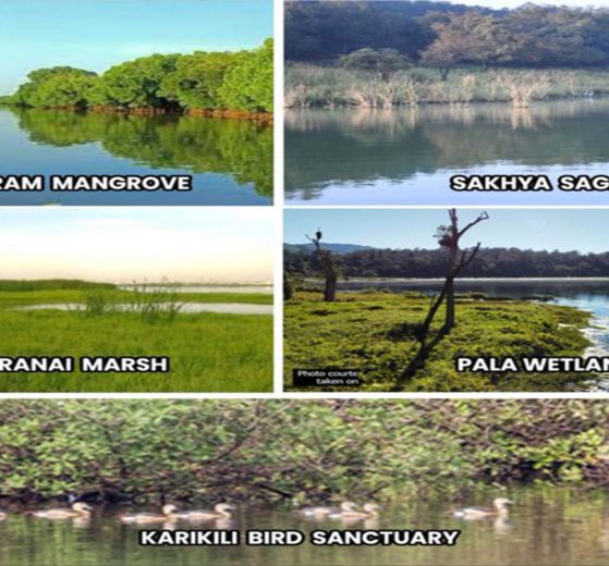 India designates five new Ramsar sites, three from Tamil Nadu and one each from MP and Mizoram