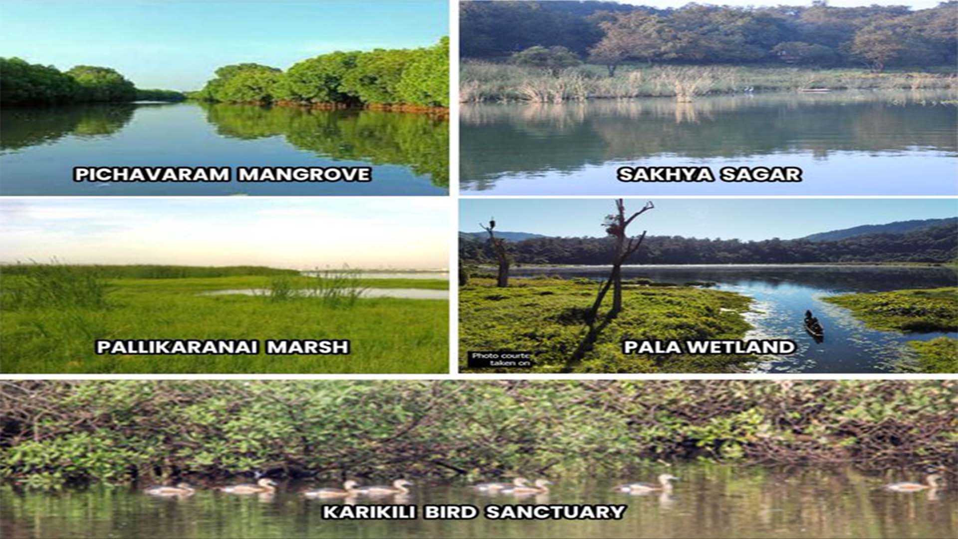 India designates five new Ramsar sites, three from Tamil Nadu and one each from MP and Mizoram