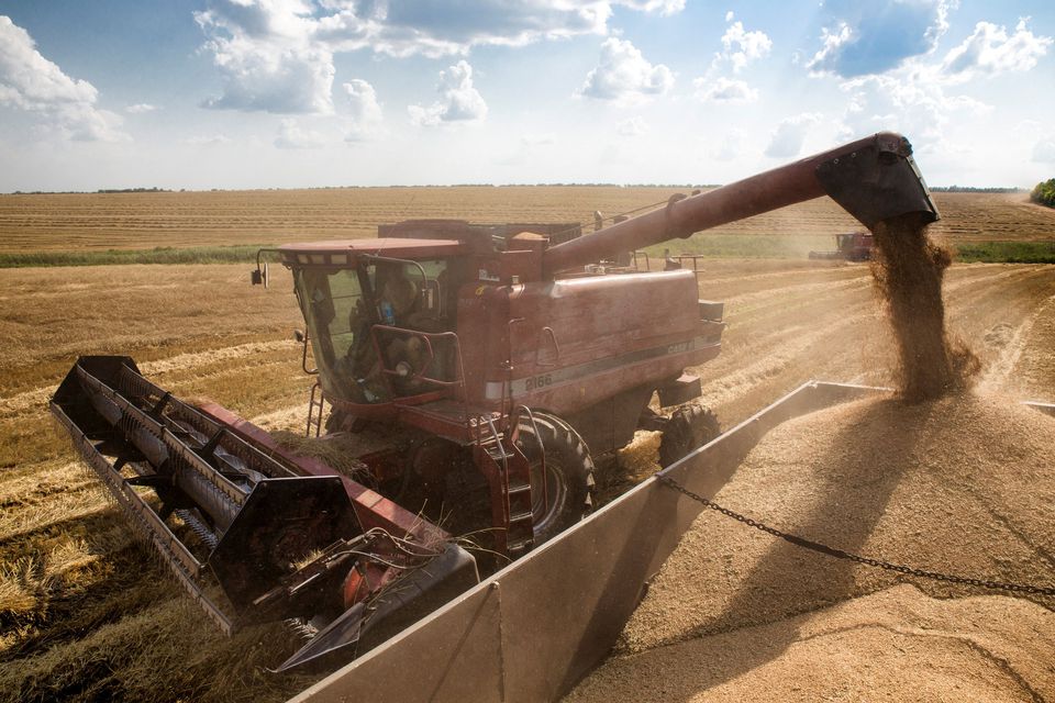 Global prices of food commodities rose following the collapse of the Black Sea deal