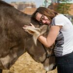 Celebrate “Cow Hug day” on 14th February, appeals Animal Welfare Board of India
