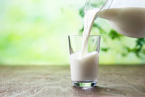 World Milk Day: Celebrating the Nutritional Powerhouse