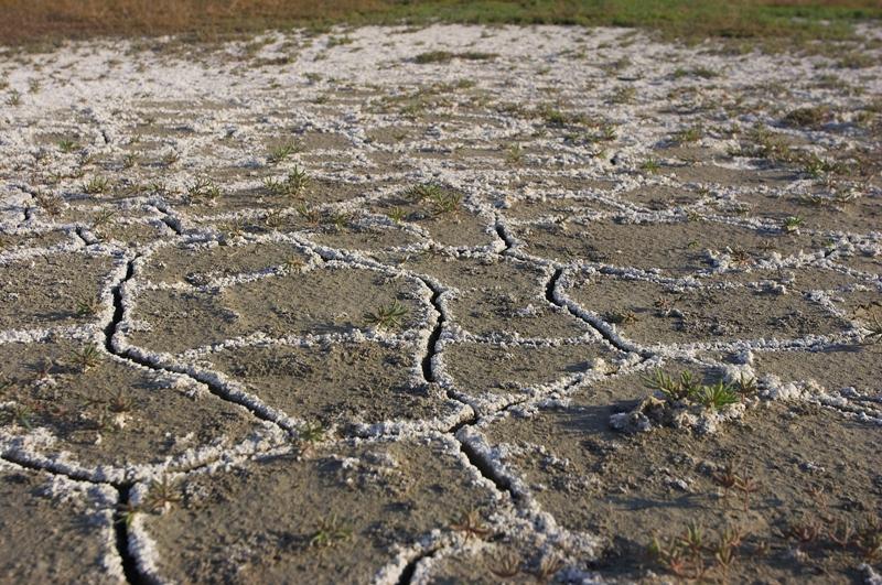 Increasing Salinity Image Credits: Water Education Foundation